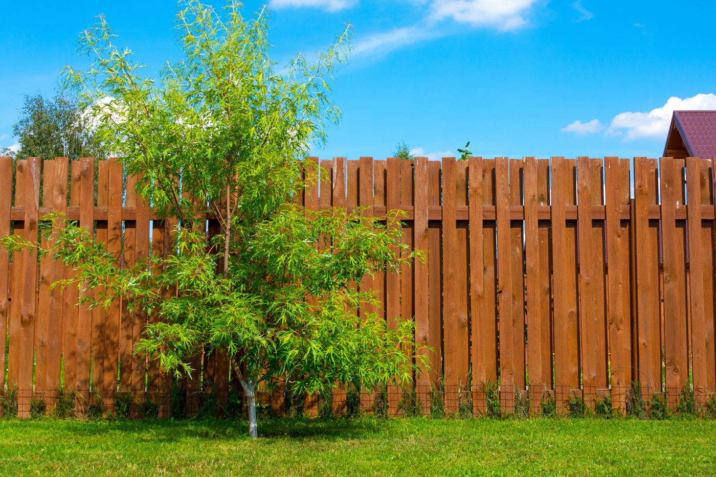 Types of Fences Ideal for Winter