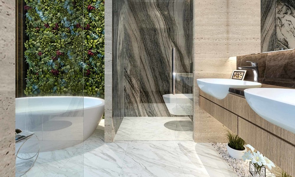 Dynamic Bathrooms